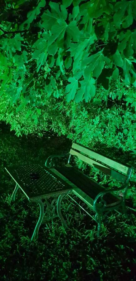 Naturist Angel Nudist Club Hotel - Adults Only Paradeísion Dış mekan fotoğraf